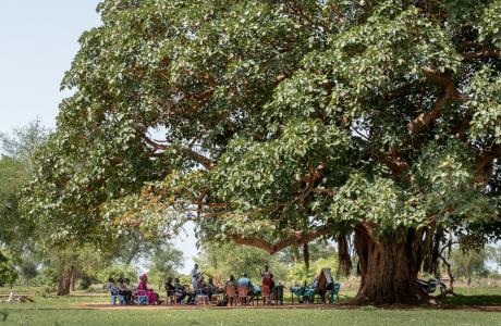 Every Village meeting under a tree